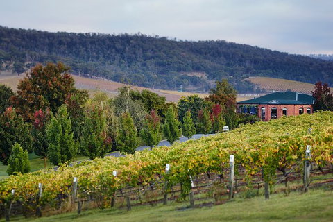 Wine & Food Pairing, Behind The Scenes & Wine Blending Experience - Accommodation Kalgoorlie 4