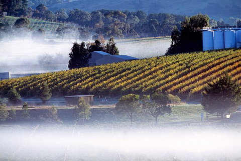 Wine & Food Pairing, Behind The Scenes & Wine Blending Experience - Accommodation Kalgoorlie 2