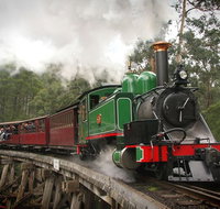 Puffing Billy Wildlife Sanctuary  Penguins Day Tour from Melbourne - Accommodation Kalgoorlie