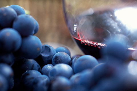 Mornington Peninsula 2-6 Guests Lunch Rare Hare Or Merricks General Wine Store - Accommodation Kalgoorlie 7