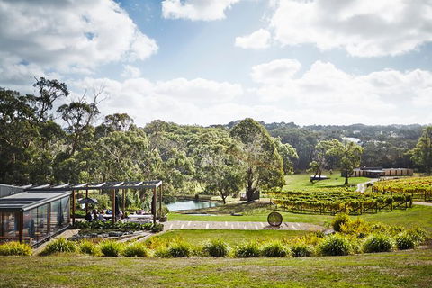 Mornington Peninsula 2-6 Guests Lunch Rare Hare Or Merricks General Wine Store - Accommodation Kalgoorlie 3