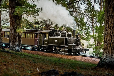Small Group - Dandenong Ranges, Puffing Billy & Healesville Sanctuary Day Tour - Accommodation Kalgoorlie 2