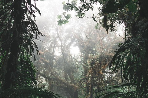Small Group - Dandenong Ranges, Puffing Billy & Healesville Sanctuary Day Tour - Accommodation Kalgoorlie 3