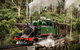 Small Group - Dandenong Ranges, Puffing Billy & Healesville Sanctuary Day Tour - thumb 0