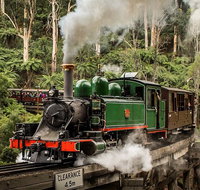 Small Group - Dandenong Ranges Puffing Billy  Healesville Sanctuary Day Tour - Accommodation Kalgoorlie
