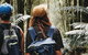 Small Group - Dandenong Ranges, Puffing Billy & Healesville Sanctuary Day Tour - thumb 6