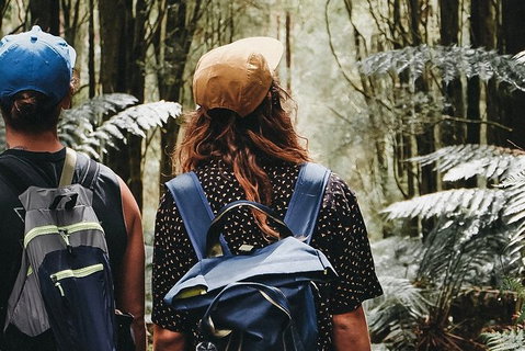 Small Group - Dandenong Ranges, Puffing Billy & Healesville Sanctuary Day Tour - Accommodation Kalgoorlie 6