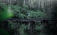 Small Group - Dandenong Ranges, Puffing Billy & Healesville Sanctuary Day Tour - thumb 1