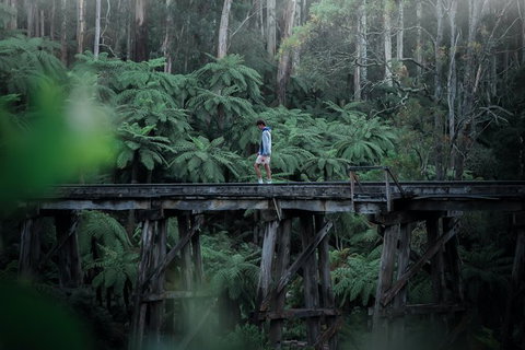 Small Group - Dandenong Ranges, Puffing Billy & Healesville Sanctuary Day Tour - Accommodation Kalgoorlie 1