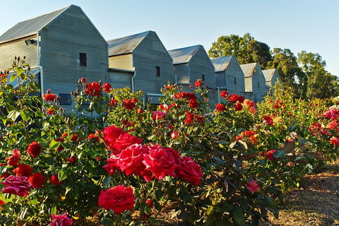 Pizzini Wines: Pop & Fizz - Accommodation Kalgoorlie 2