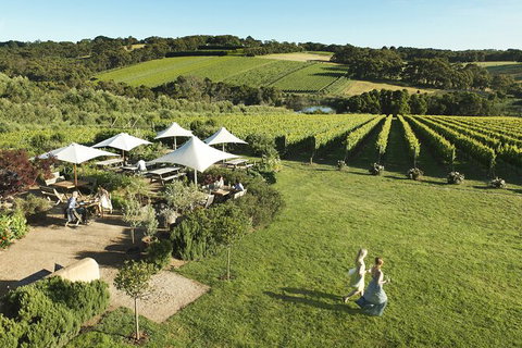 Small Group Mornington Peninsula, Arts, Food And Wine Tour - Accommodation Kalgoorlie 1