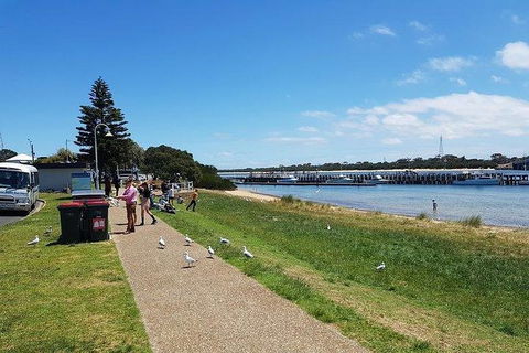 Phillip Island Penguin And Wildlife Tour - Accommodation Kalgoorlie 25