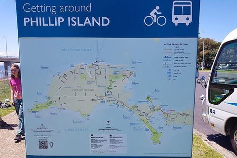 Phillip Island Penguin And Wildlife Tour - Accommodation Kalgoorlie 28