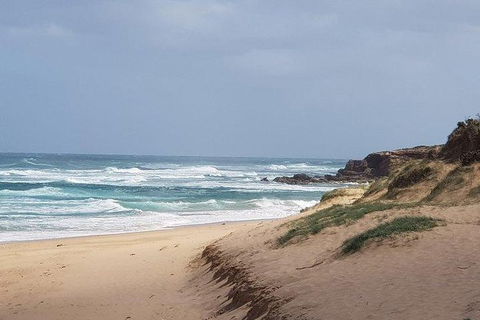 Phillip Island Penguin And Wildlife Tour - Accommodation Kalgoorlie 10