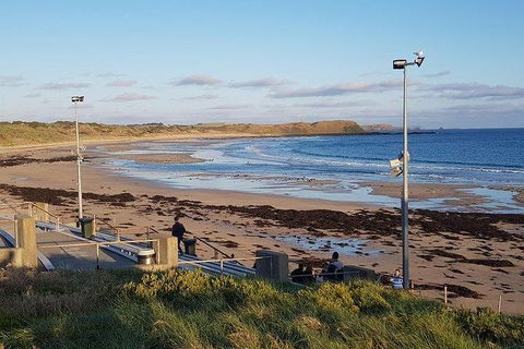 Phillip Island Penguin And Wildlife Tour - Accommodation Kalgoorlie 8