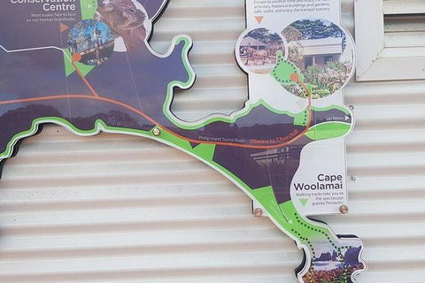 Phillip Island Penguin And Wildlife Tour - Accommodation Kalgoorlie 29