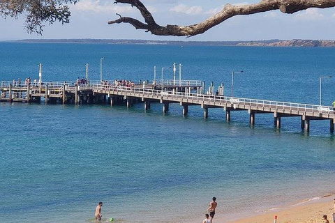 Phillip Island Penguin And Wildlife Tour - Accommodation Kalgoorlie 2