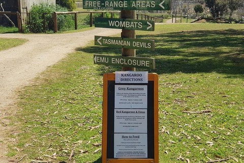 Phillip Island Penguin And Wildlife Tour - Accommodation Kalgoorlie 4