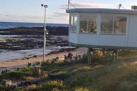 Phillip Island Penguin And Wildlife Tour - Accommodation Kalgoorlie 33