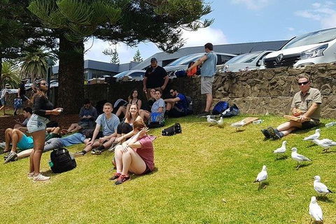 Phillip Island Penguin And Wildlife Tour - Accommodation Kalgoorlie 22