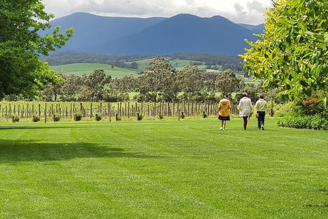 Yarra Valley Wine Tasting Day Tour From Melbourne - Accommodation Kalgoorlie 6