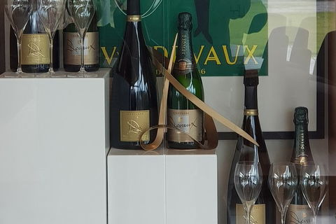 Yarra Valley Wine Tasting Day Tour From Melbourne - Accommodation Kalgoorlie 2