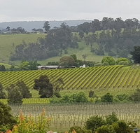 Yarra Valley Wine Tasting Day Tour from Melbourne - Accommodation Kalgoorlie