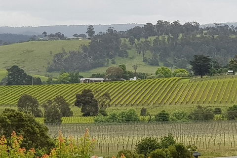 Yarra Valley Wine Tasting Day Tour From Melbourne - Accommodation Kalgoorlie 0