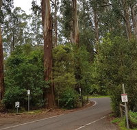 Full-Day Dandenong Ranges Tour with Pickup from Melbourne - Accommodation Kalgoorlie