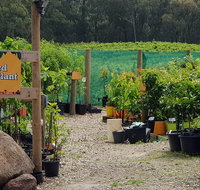 Yarra Valley Wineries and Rayners Orchard Tour from Melbourne - Accommodation Kalgoorlie