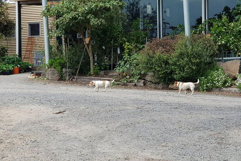 Yarra Valley Wineries And Rayners Orchard Tour From Melbourne - Accommodation Kalgoorlie 23