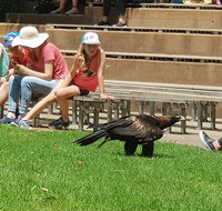 Healesville Sanctuary and Rayners Orchard Tour from Melbourne - Accommodation Kalgoorlie