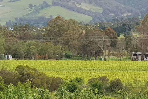 Day Tour Of Yarra Valley Puffing Billy And Rayners Orchard - Accommodation Kalgoorlie 44