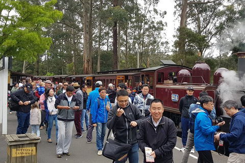 Day Tour Of Yarra Valley Puffing Billy And Rayners Orchard - Accommodation Kalgoorlie 3