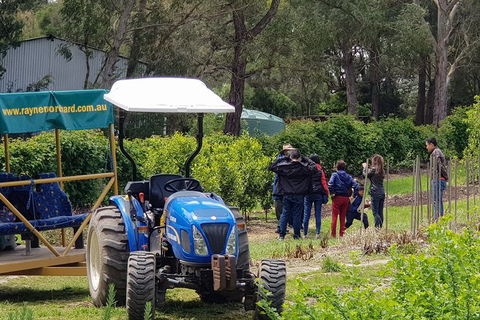 Day Tour Of Yarra Valley Puffing Billy And Rayners Orchard - Accommodation Kalgoorlie 10