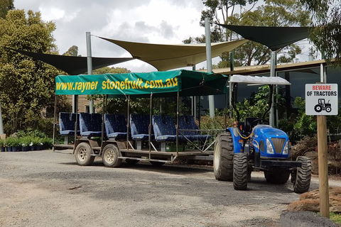 Day Tour Of Yarra Valley Puffing Billy And Rayners Orchard - Accommodation Kalgoorlie 17