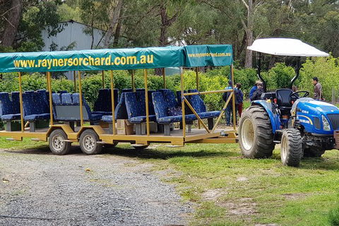 Day Tour Of Yarra Valley Puffing Billy And Rayners Orchard - Accommodation Kalgoorlie 48