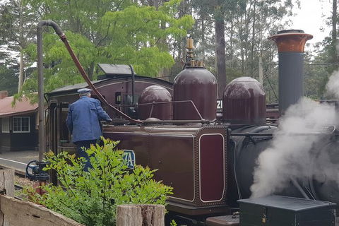Day Tour Of Yarra Valley Puffing Billy And Rayners Orchard - Accommodation Kalgoorlie 5