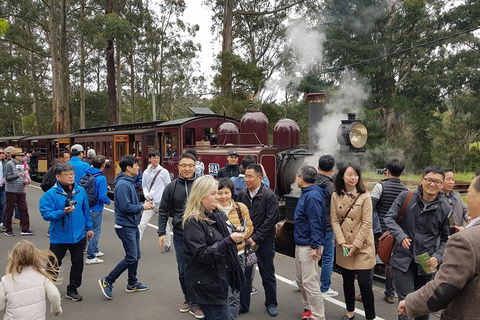 Day Tour Of Yarra Valley Puffing Billy And Rayners Orchard - Accommodation Kalgoorlie 18