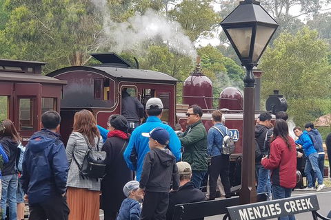 Day Tour Of Yarra Valley Puffing Billy And Rayners Orchard - Accommodation Kalgoorlie 40