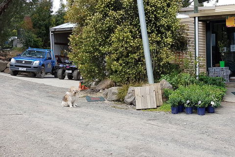Day Tour Of Yarra Valley Puffing Billy And Rayners Orchard - Accommodation Kalgoorlie 6