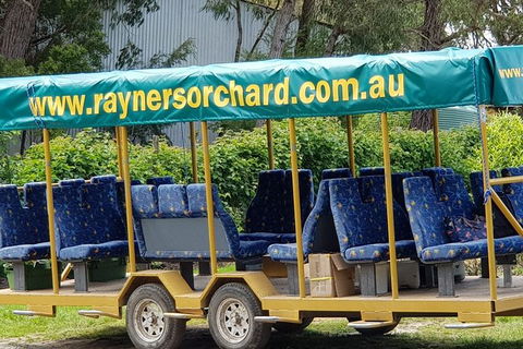 Day Tour Of Yarra Valley Puffing Billy And Rayners Orchard - Accommodation Kalgoorlie 33