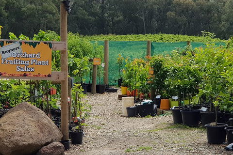 Day Tour Of Yarra Valley Puffing Billy And Rayners Orchard - Accommodation Kalgoorlie 22
