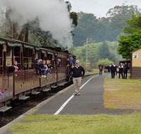 Day Tour of Yarra Valley Puffing Billy and Rayners Orchard - Accommodation Kalgoorlie