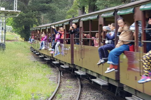 Day Tour Of Yarra Valley Puffing Billy And Rayners Orchard - Accommodation Kalgoorlie 13