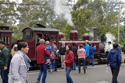 Day Tour Of Yarra Valley Puffing Billy And Rayners Orchard - Accommodation Kalgoorlie 4