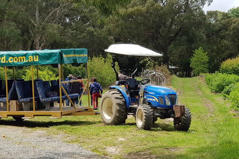 Day Tour Of Yarra Valley Puffing Billy And Rayners Orchard - Accommodation Kalgoorlie 25