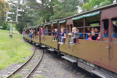 Day Tour Of Yarra Valley Puffing Billy And Rayners Orchard - Accommodation Kalgoorlie 24