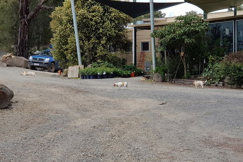 Day Tour Of Yarra Valley Puffing Billy And Rayners Orchard - Accommodation Kalgoorlie 26