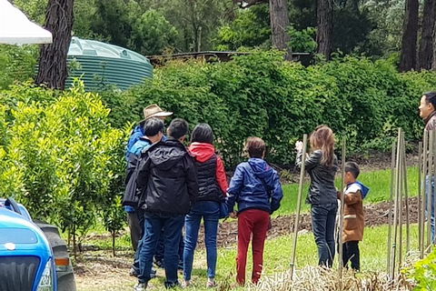 Day Tour Of Yarra Valley Puffing Billy And Rayners Orchard - Accommodation Kalgoorlie 16